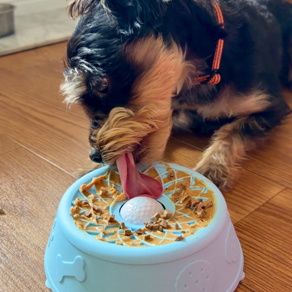 How to Calm a Dog During Fireworks: What Works and What Doesn't