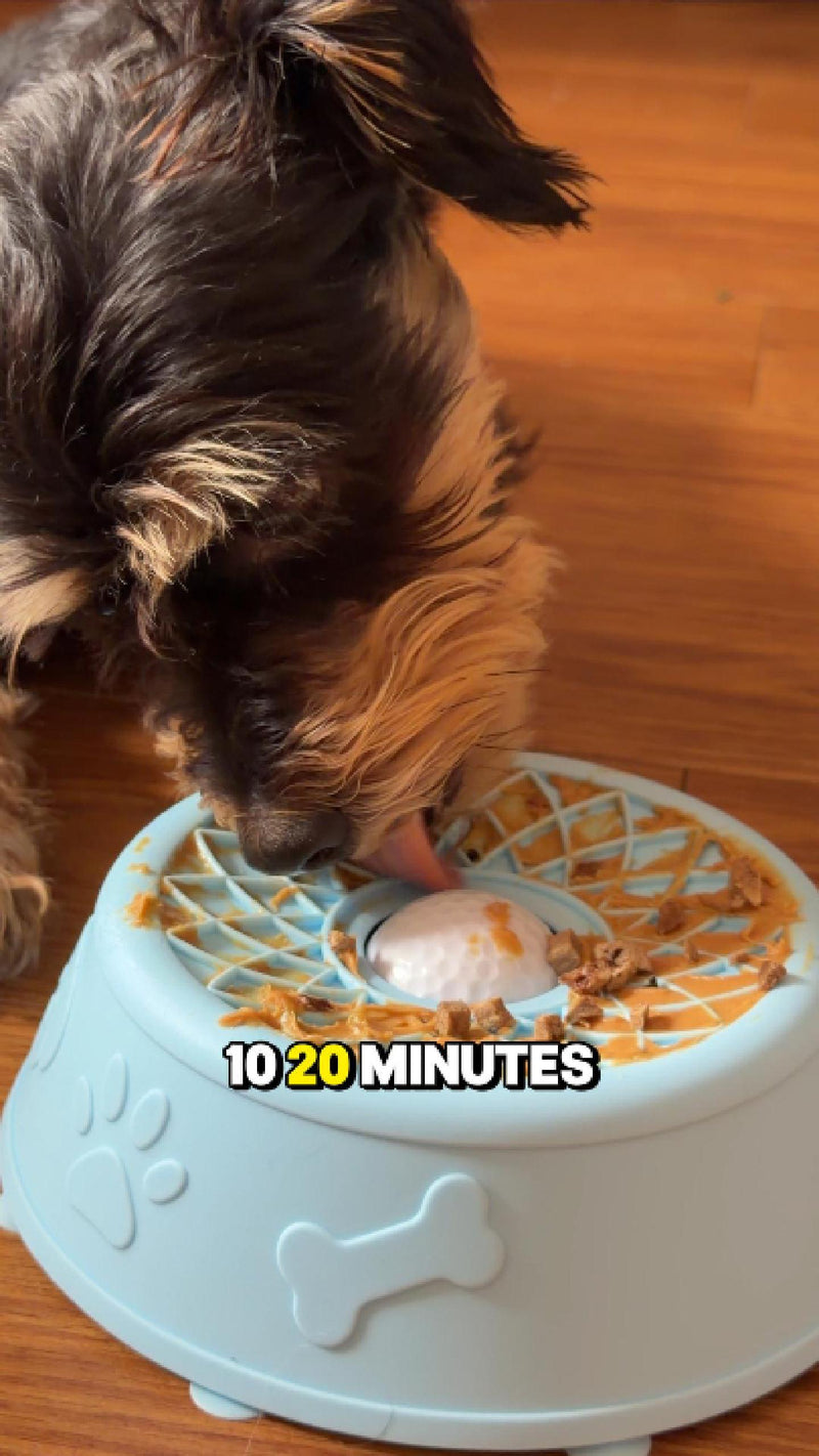 Licking is how dogs settle themselves
