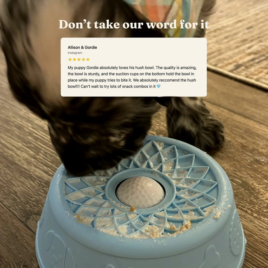 Five-star customer review from Allison and Gordie over a photo of a puppy licking the blue Hush Bowl