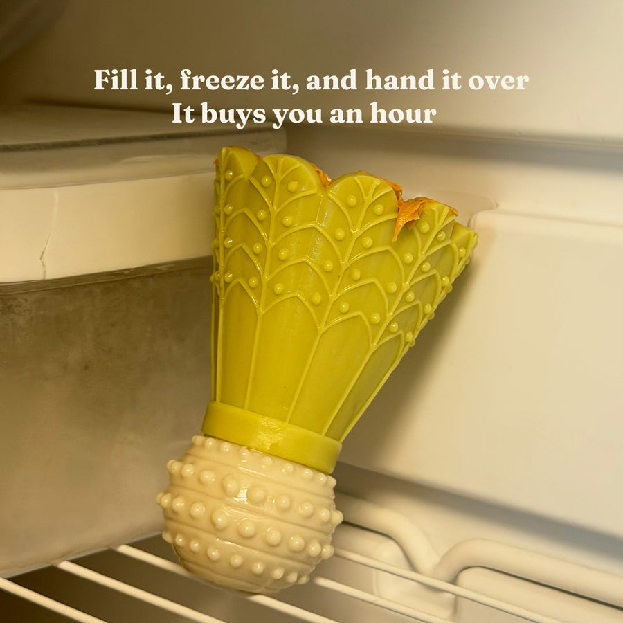 Green Busy Chew filled and frozen on a freezer shelf, ready to hand to the dog