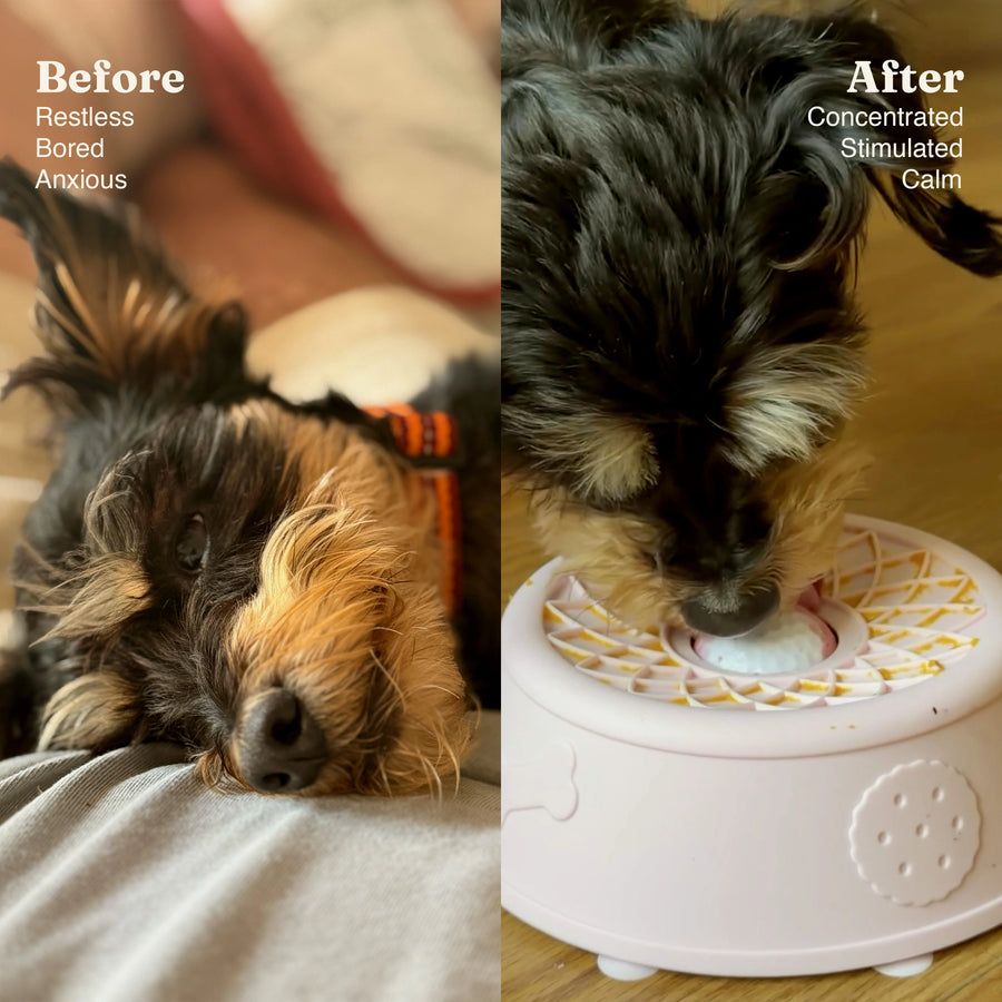Before and after: a restless dog lying down, then the same dog calmly licking peanut butter from a pink Hush Bowl