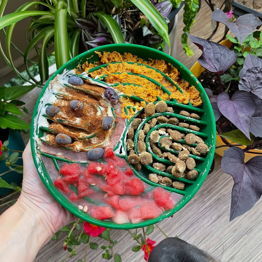 Slow feeder dog bowl loaded with pumpkin, yogurt, watermelon and kibble in separate ridges